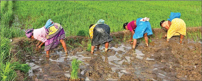 உலகம் சுற்றும் உழவு!