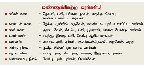 மழைக் காலம்...மண் அரிப்பு கவனம்..!