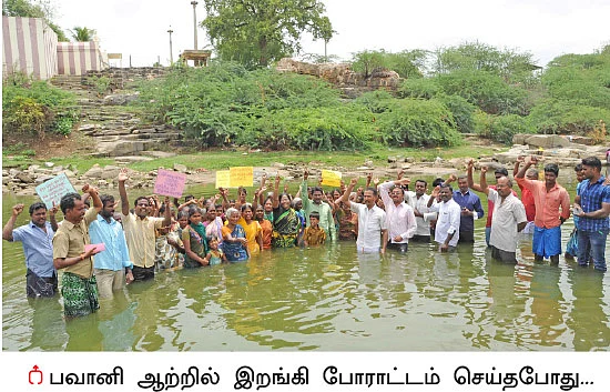 மர மீட்பு போராட்டம்!
