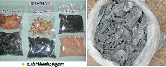 மண்ணுக்கு மரியாதை! - 15