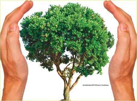 ஆறாம் திணை