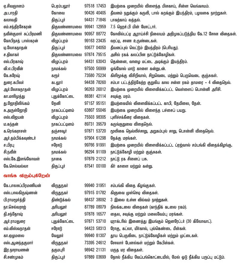 பசுமை சந்தை