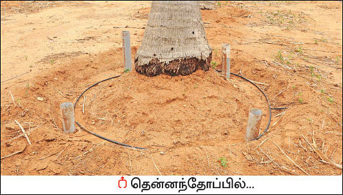 நீர்ச் சேமிப்பில் புதிய யுக்தி... ஐ.ஏ.எஸ் அதிகாரியின் அருமையான நுட்பம்!