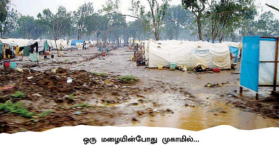 புலித்தடம் தேடி...