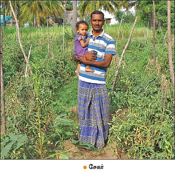 விதை முதல் விளைபொருள் விற்பனை வரை...வழிகாட்டும் ஓசூர் டி.வி.எஸ் நிறுவனம்!