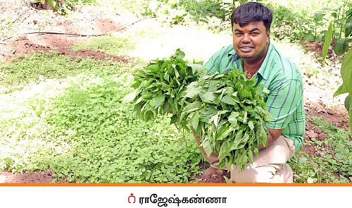 வாரம் 25 ஆயிரம் ரூபாய்.... மலைவாழை, கத்திரி, மிளகாய், கீரைகள்...