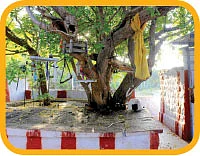 ஜாலி டூர்! போலாம் ரைட்ட்ட்ட்