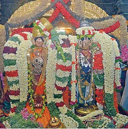 'எல்லே இளங்கிளியே...!’