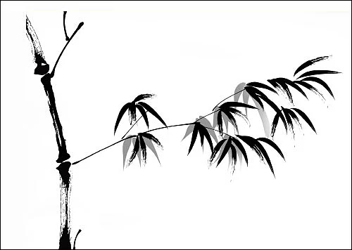 பரம்பு மலை