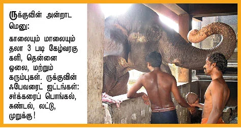 ருக்கு எங்கள் செல்லம்!