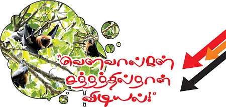 ’’வெளவால்கள் சத்தத்தில்தான் விடியல்!’’