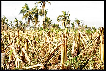 'தானே' துயரிலிருந்து மீள, தன்னம்பிக்கை முகாம்!'