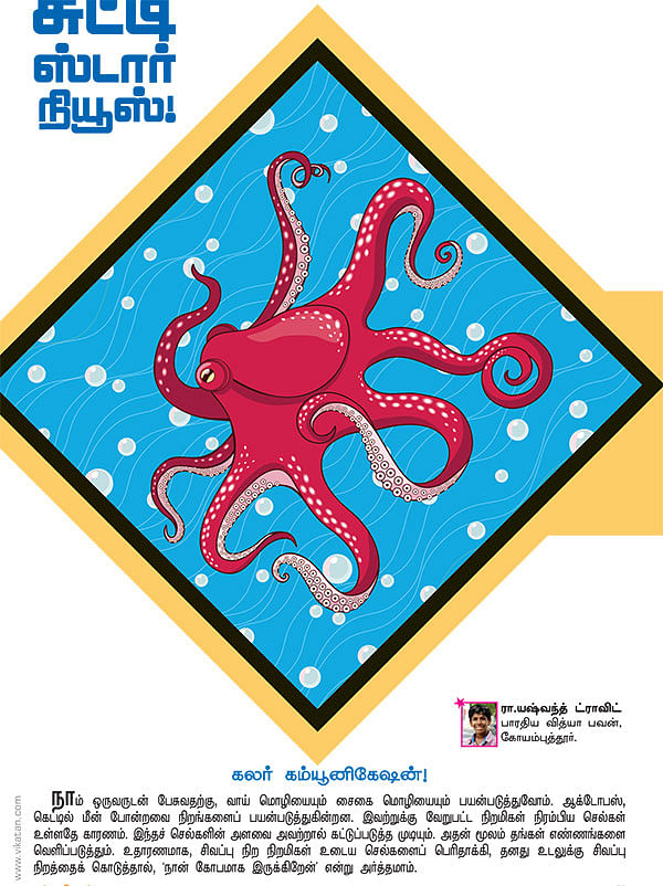 சுட்டி ஸ்டார் நியூஸ்