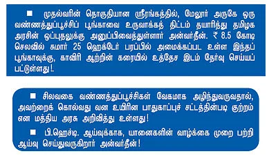 ஓ...பட்டர்பிஃளை !