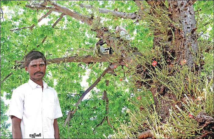 புண்ணிய புருஷர்கள் - புதிய தொடர்