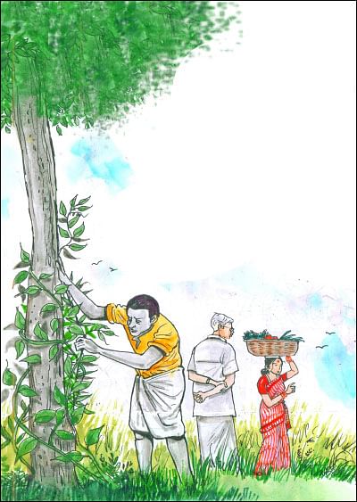 மரத்தடி மாநாடு: தென்னை மானியம்... இழுத்தடிக்கும் அதிகாரிகள்... கவலையில் விவசாயிகள்!