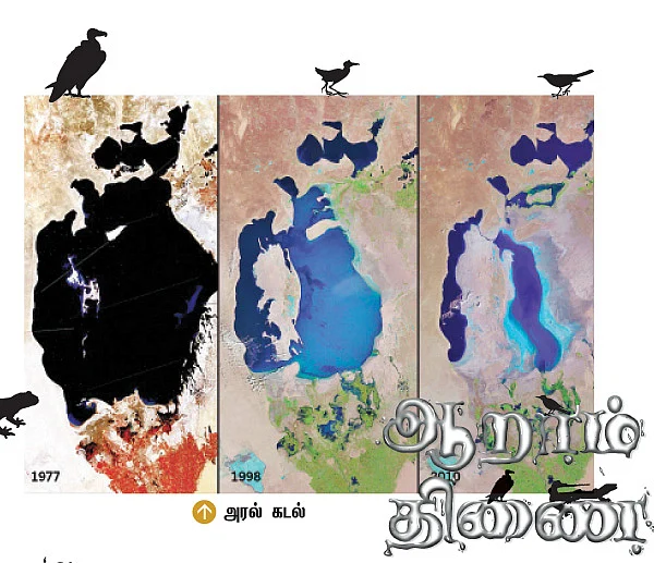 ஆறாம் திணை