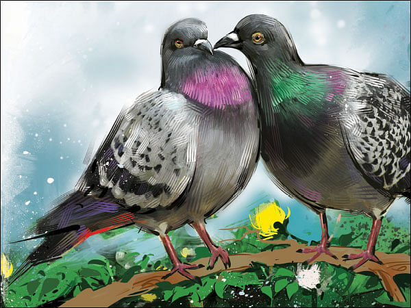அன்பே தவம் - 27