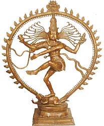 சித்தம்... சிவம்... சாகசம்! - 6