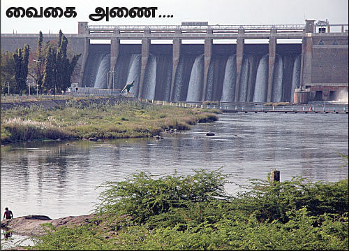 மை டியர் ஜீபா