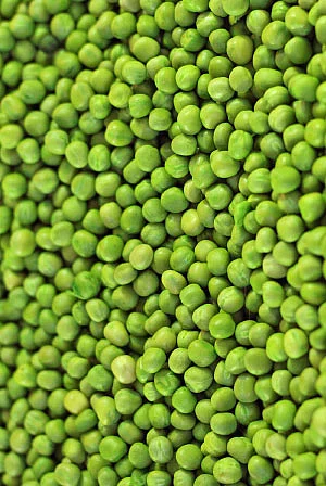 இயற்கை டாக்டர்