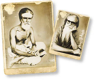 தெய்வத்தின் இளவன்!