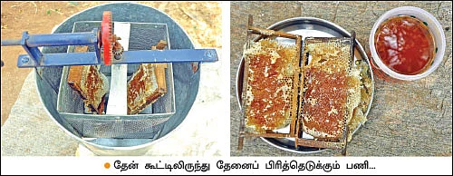 பணம் குவிக்கும் பண்ணைத்தொழில்கள் - 5 - ஒரே முறை முதலீடு... தொடர்ந்து ‘கொட்டும்’ வருமானம்!