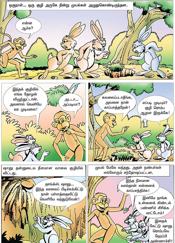 நீள வால் ஷானு