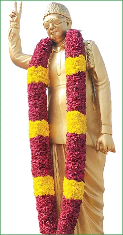 கழுகார் பதில்கள்!