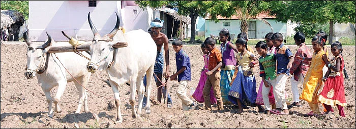 உழுதுண்டு மகிழும் ‘பசுமை’ மாணவர்கள்!