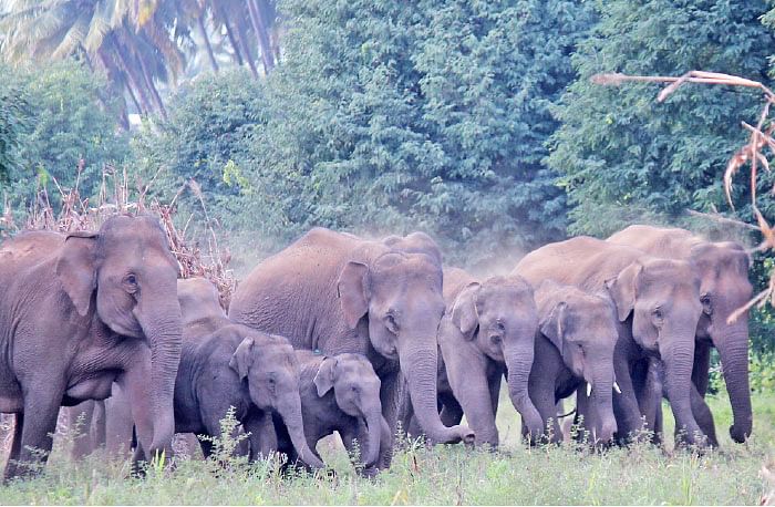 தமிழகம் இன்ஃபோ ஸ்பெஷல் #6 - கோவை 200 - இன்ஃபோ புக்