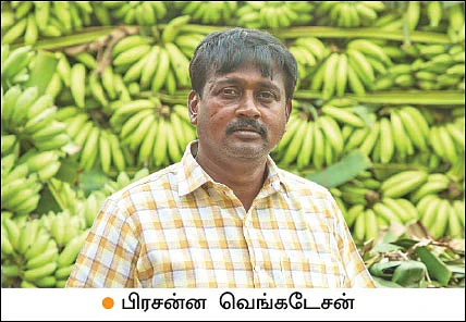 நேந்திரன் வாழை விலை வீழ்ச்சி... தீர்வு என்ன?