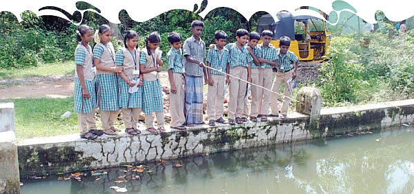 மீன்
