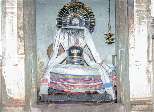 நாரதர் உலா - குடந்தையில் பிரம்மோற்சவம்... பக்தர்களின் எதிர்பார்ப்பு!