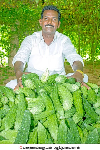 பழுதில்லாமல் லாபம் கொடுக்கும் பாகல்!