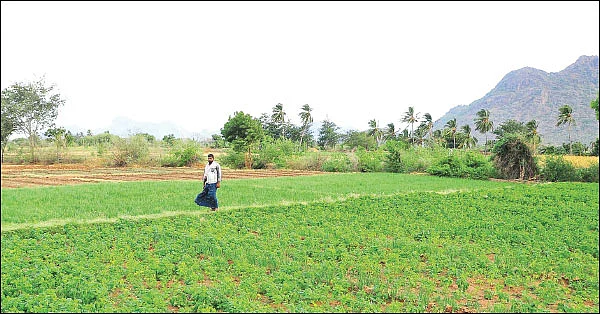 மழைநீரைச் சேமிக்கும் வித்தை! - வறண்ட நிலத்தையும் வளமாக்கும் நுட்பங்கள்...