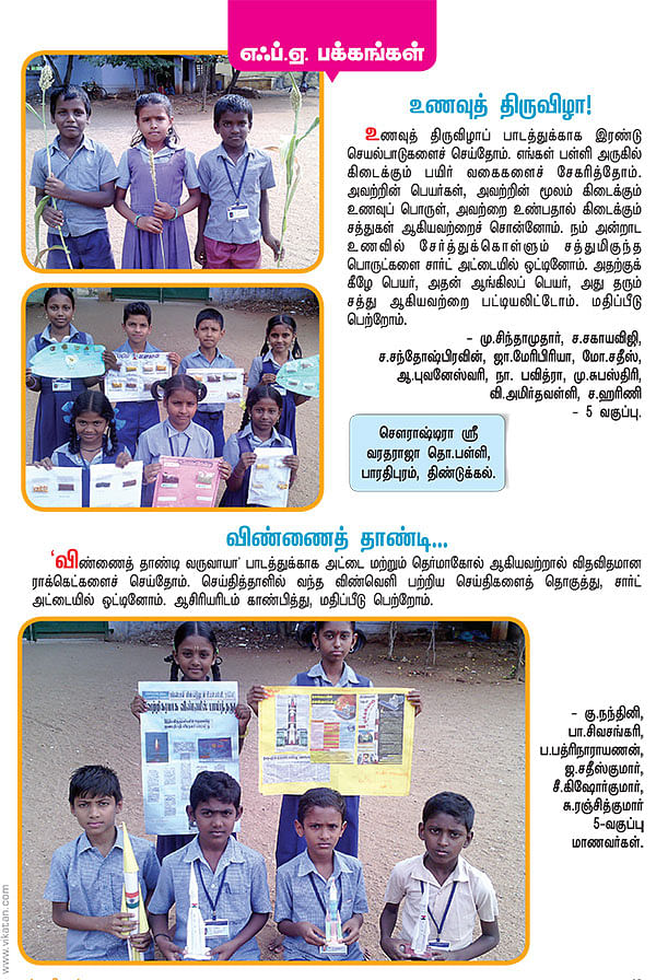 உணவுத் திருவிழா