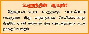 விலைவாசி ஜிவ்வ்..! உயரே பறக்குது உளுந்து!