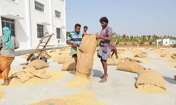 நெல்லுக்கான ஆதார விலை... நாடகமாடும் மத்திய அரசு!