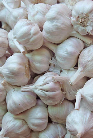 இயற்கை டாக்டர்