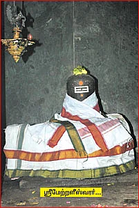 தேவாரத் திருவுலா!