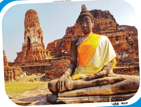 எனது இந்தியா!