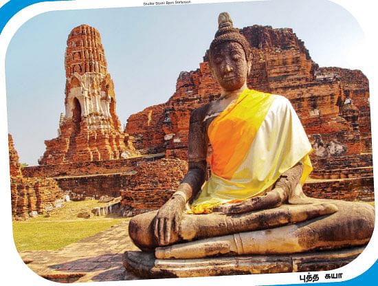 எனது இந்தியா!