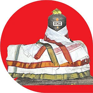 தேவாரத் திருவுலா!