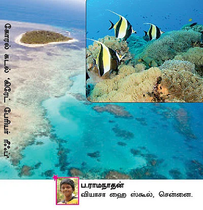 சுட்டி ஸ்டார் நியூஸ்