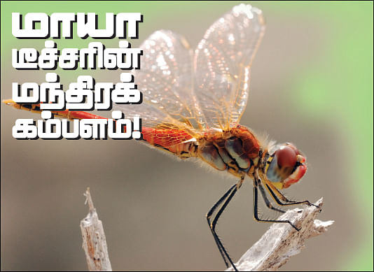 மாயா டீச்சரின் மந்திரக் கம்பளம் !