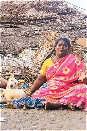 மீள்வோம்! - கரை கடந்த கஜா... நிலைகுலைந்த தமிழகம்