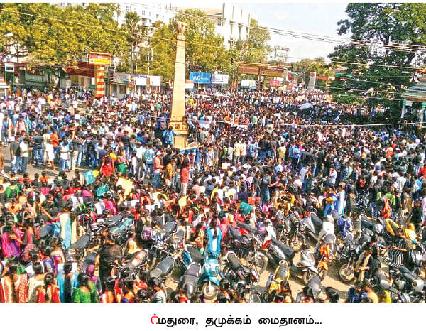 ஜல்லிக்கட்டு - பாரம்பர்யத்தைக் காக்க வந்த ‘இளம் காளைகள்!’