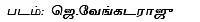 என் லீனியா திரும்பக் கிடைக்குமா?