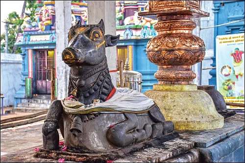 காசிக்கு நிகரான திருக்காஞ்சி!